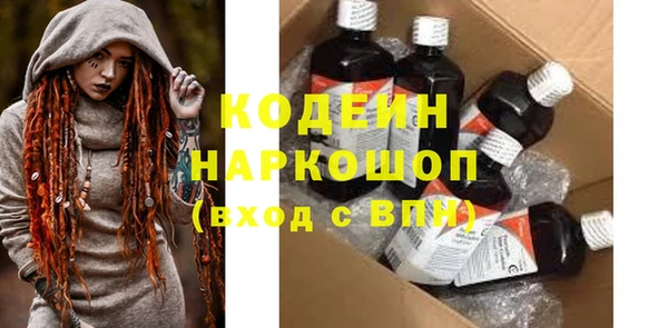 хмурый Нея