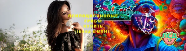 гидропоника Надым