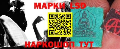 гидропоника Гатчина
