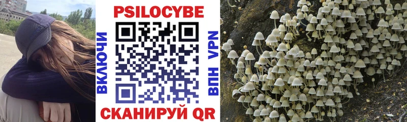 Псилоцибиновые грибы Psilocybine cubensis omg зеркало Канск