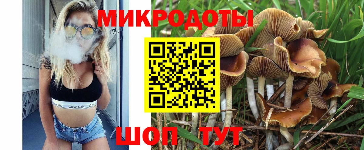 Псилоцибиновые грибы мухоморы Канск