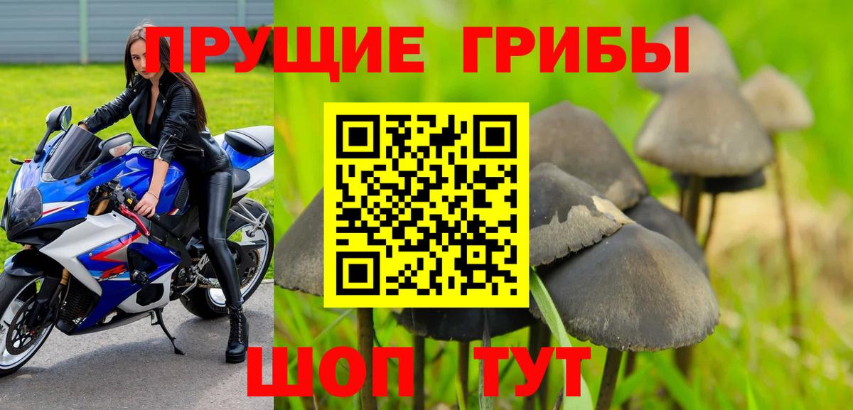 Галлюциногенные грибы Psilocybe  магазин    Галлюциногенные грибы мухоморы  Канск  Вход с VPN 